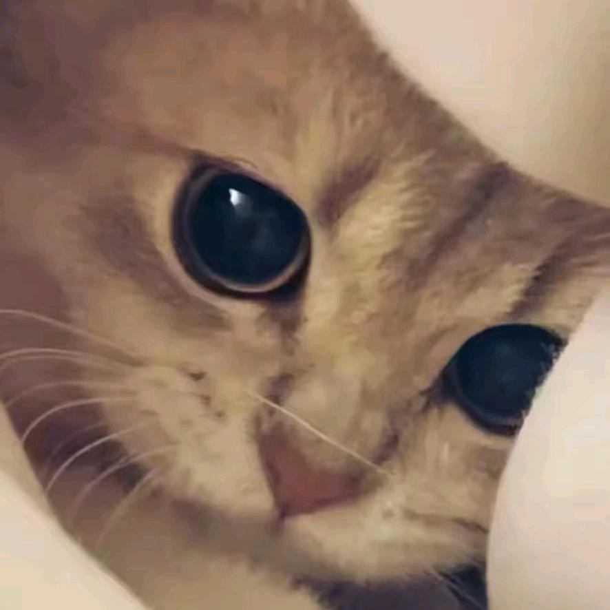王秀界