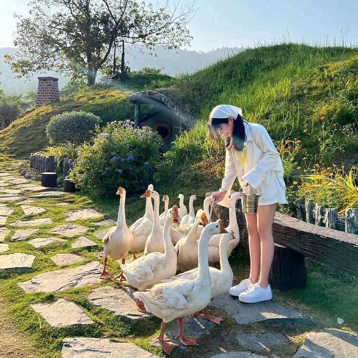 筱筱