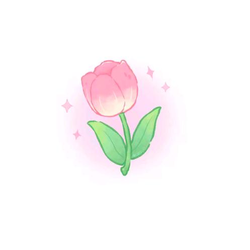 美丽姐