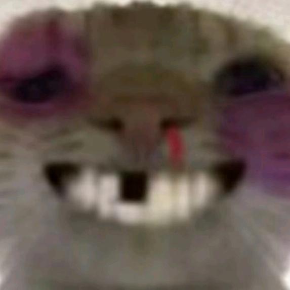 鼠鼠我呀要死了