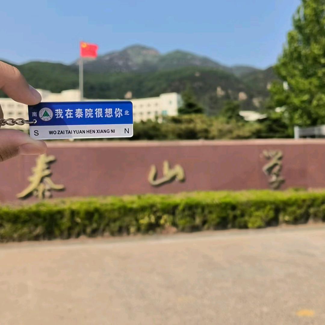 泰城纪实录