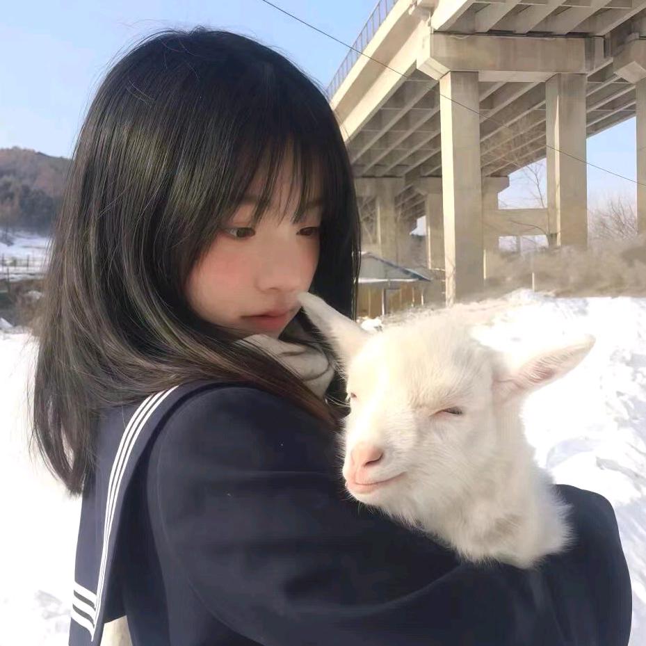 小七想睡觉