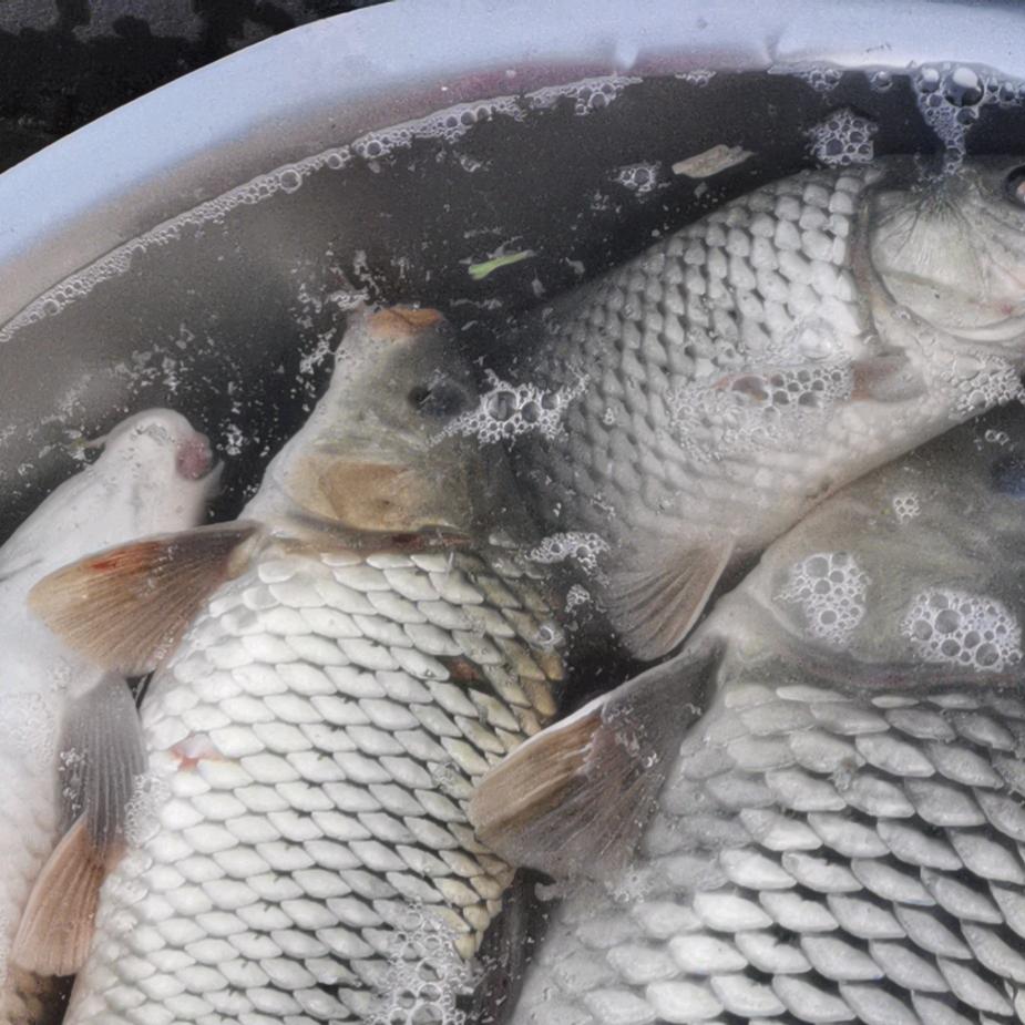 暖心💕哥爱钓鱼