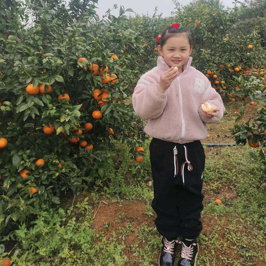 婷（˵¯͒〰¯͒˵)婷