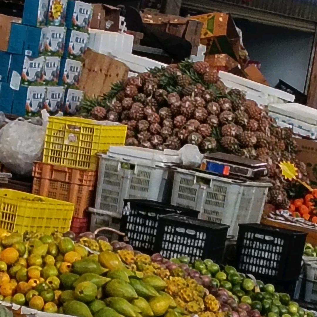 (๑小•̌.•̑企๑鹅)ˀ̣ˀ̣