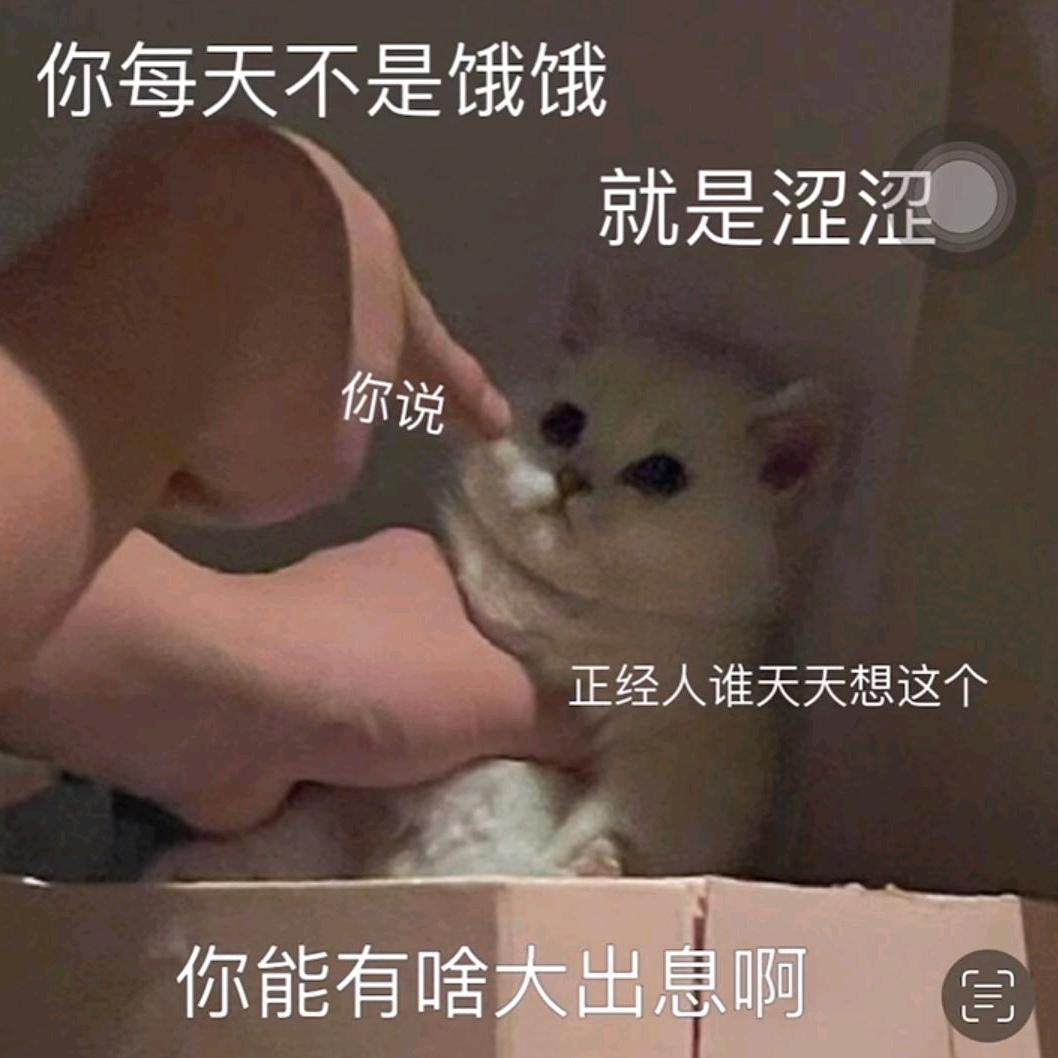 节同时异