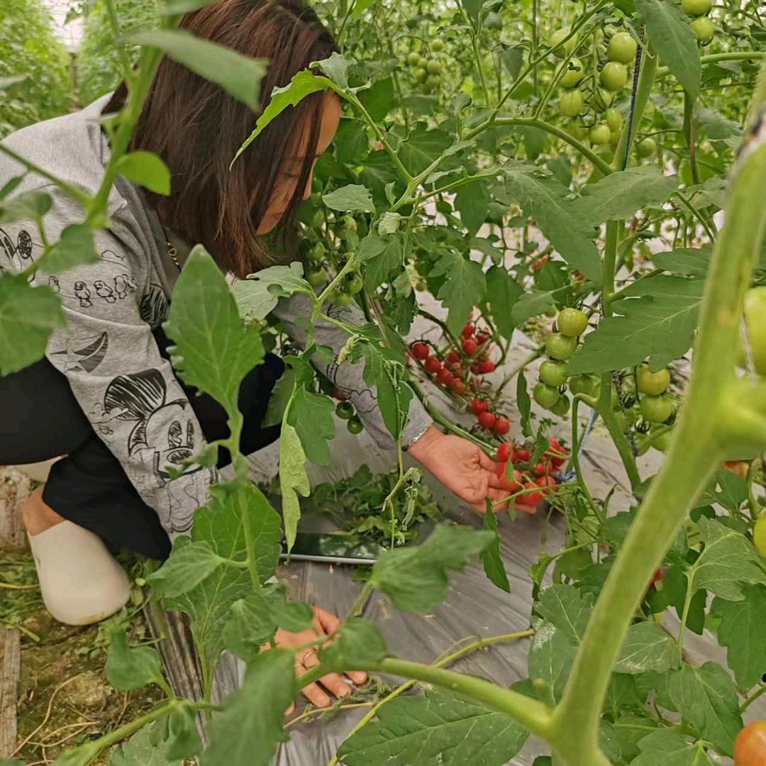 敏姐在农村