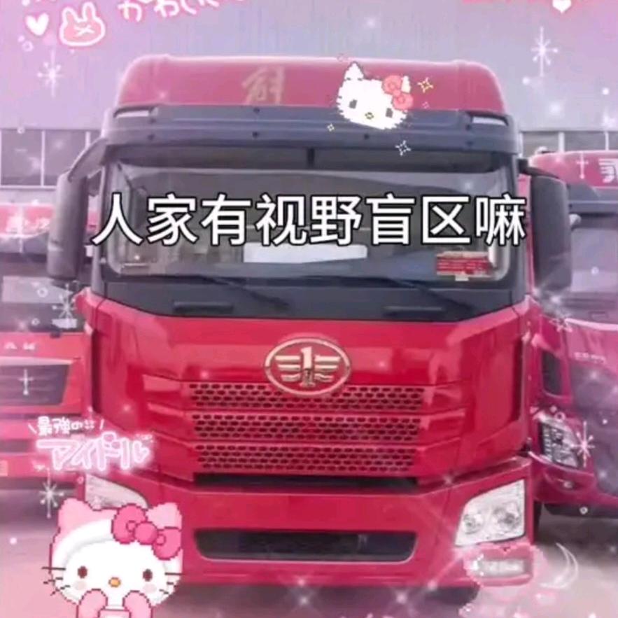 AAA大运重卡李师傅
