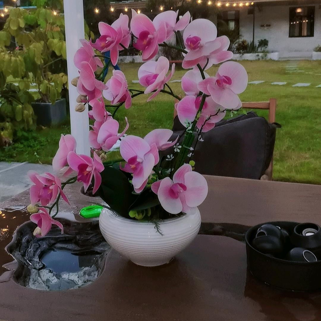 笑燕