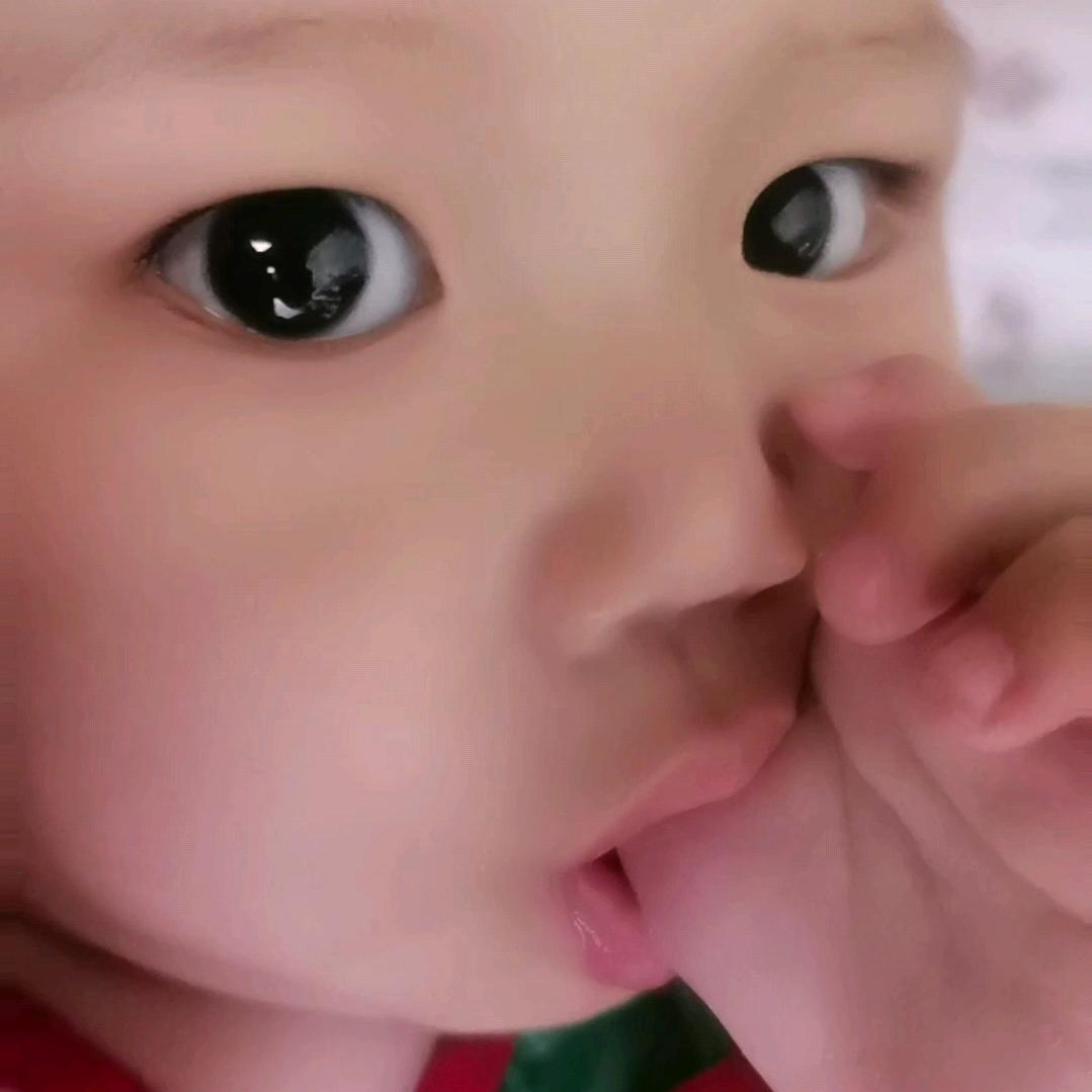 程长日记