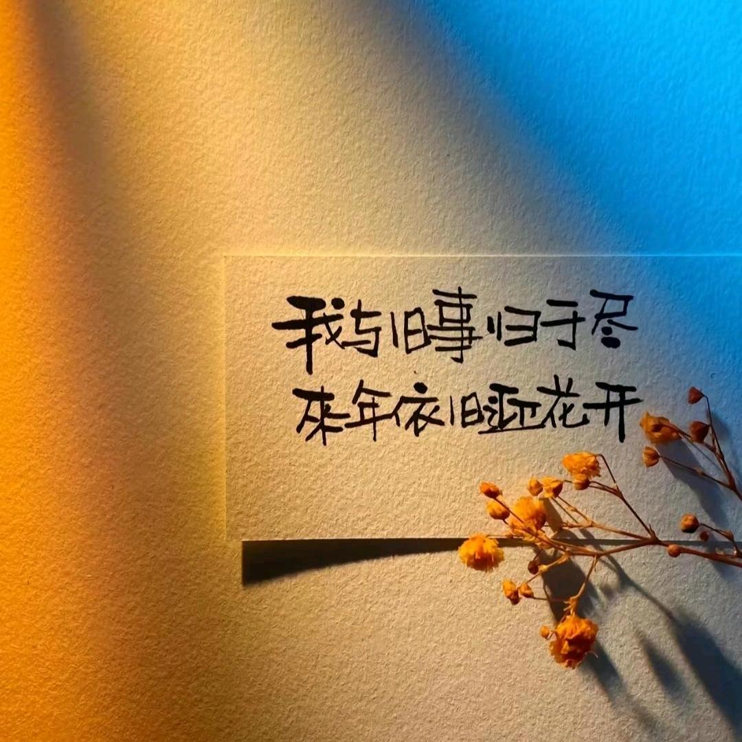 来年依旧迎花开