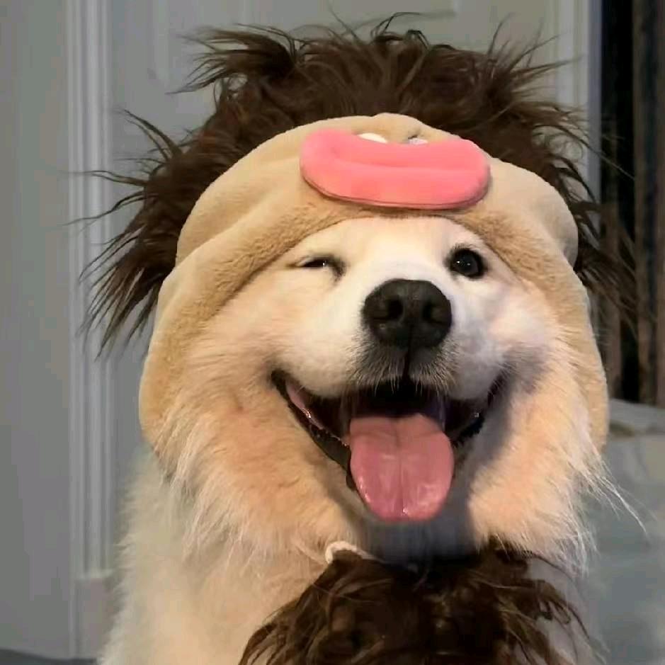 差不多先生