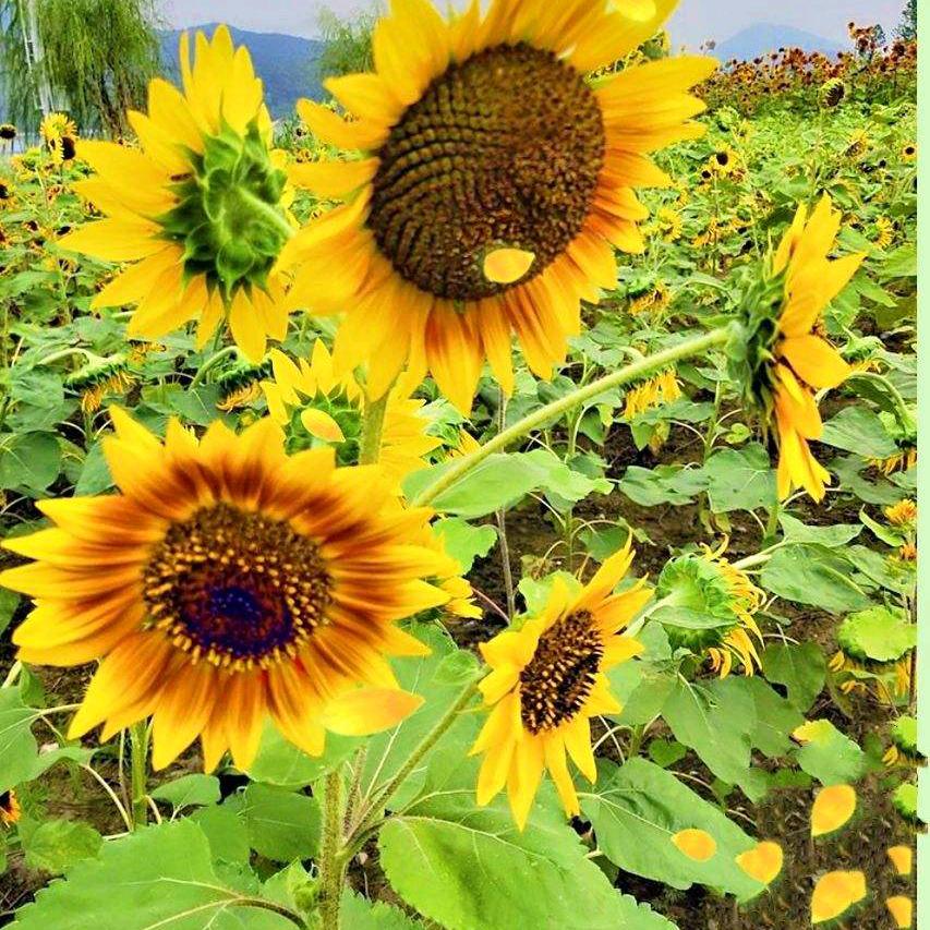 走走停停，拥抱未来