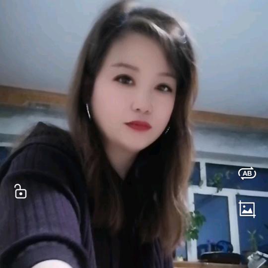 自由的燕子