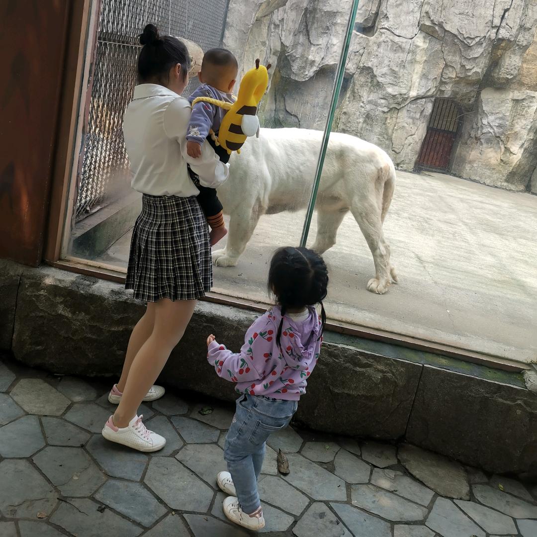 🌈我太想进步了