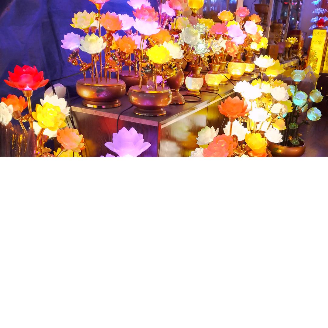 ༄བློ་S