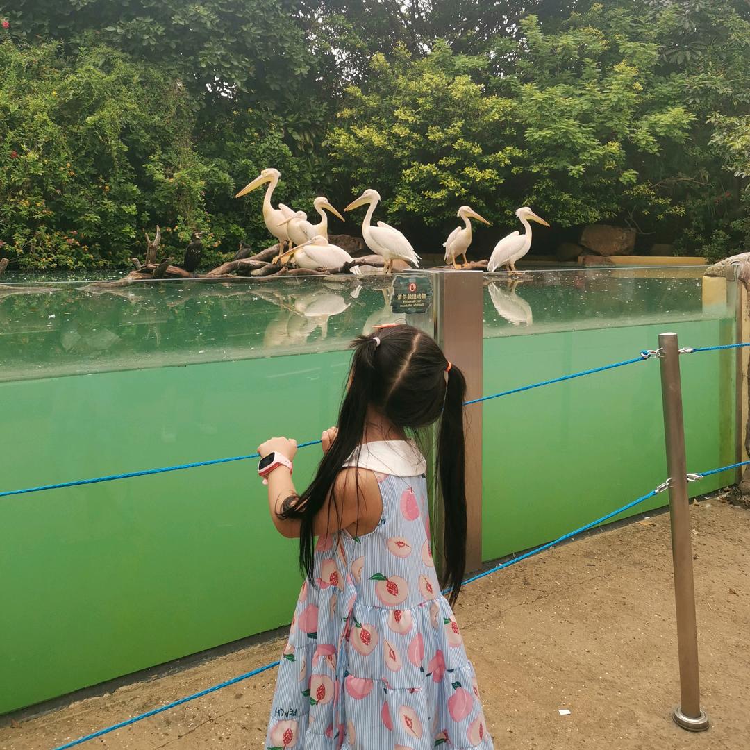 甜儿爸的数学小课堂