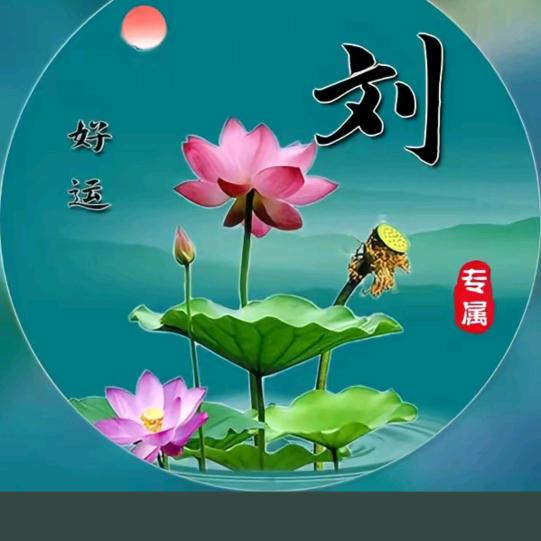 为你停刘