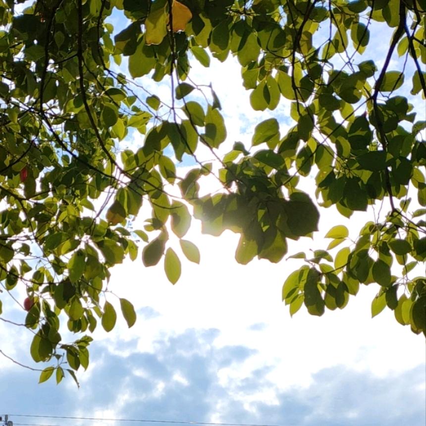 大美小美🇨🇳