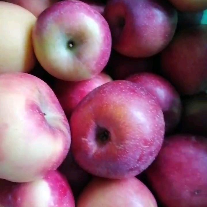 路是自己走出来的