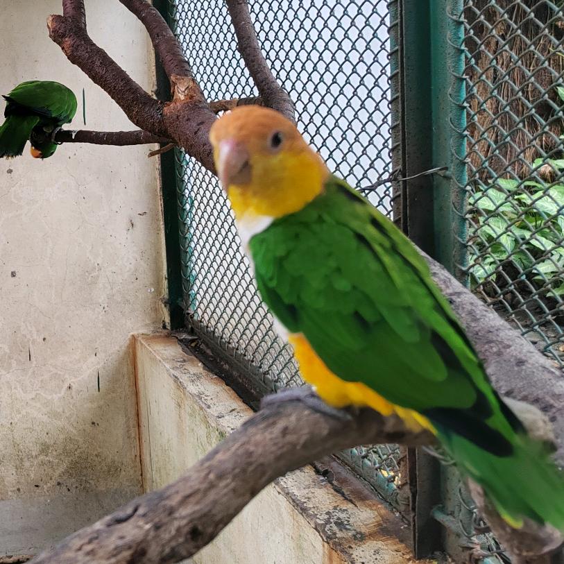 柳州程凯—小郑