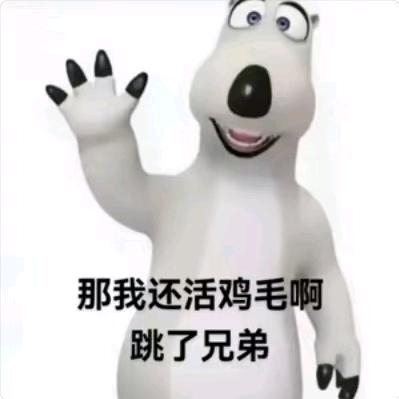 小白Pro