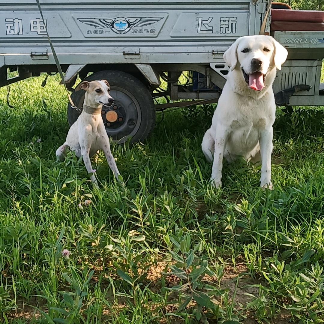 阳光就在风雨后