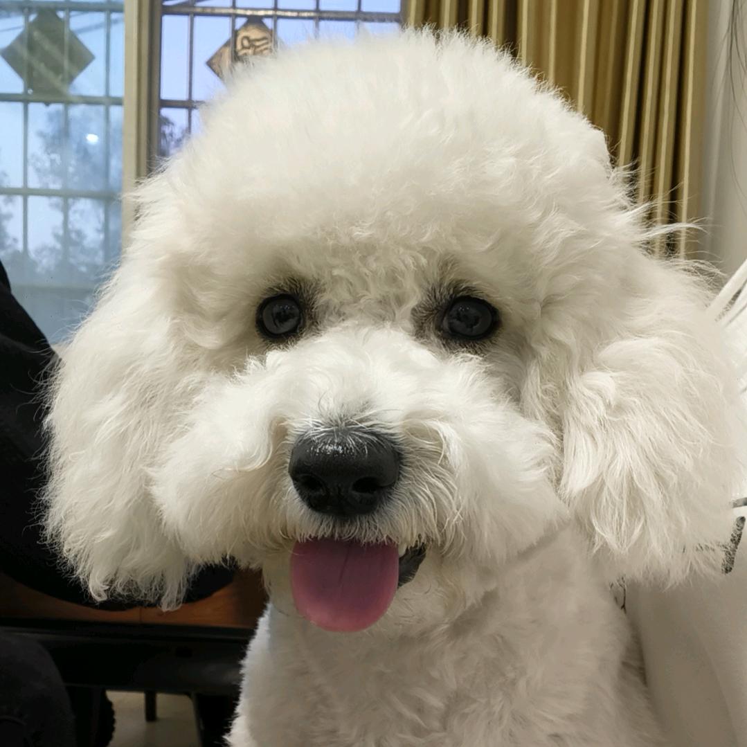 是小可可💕