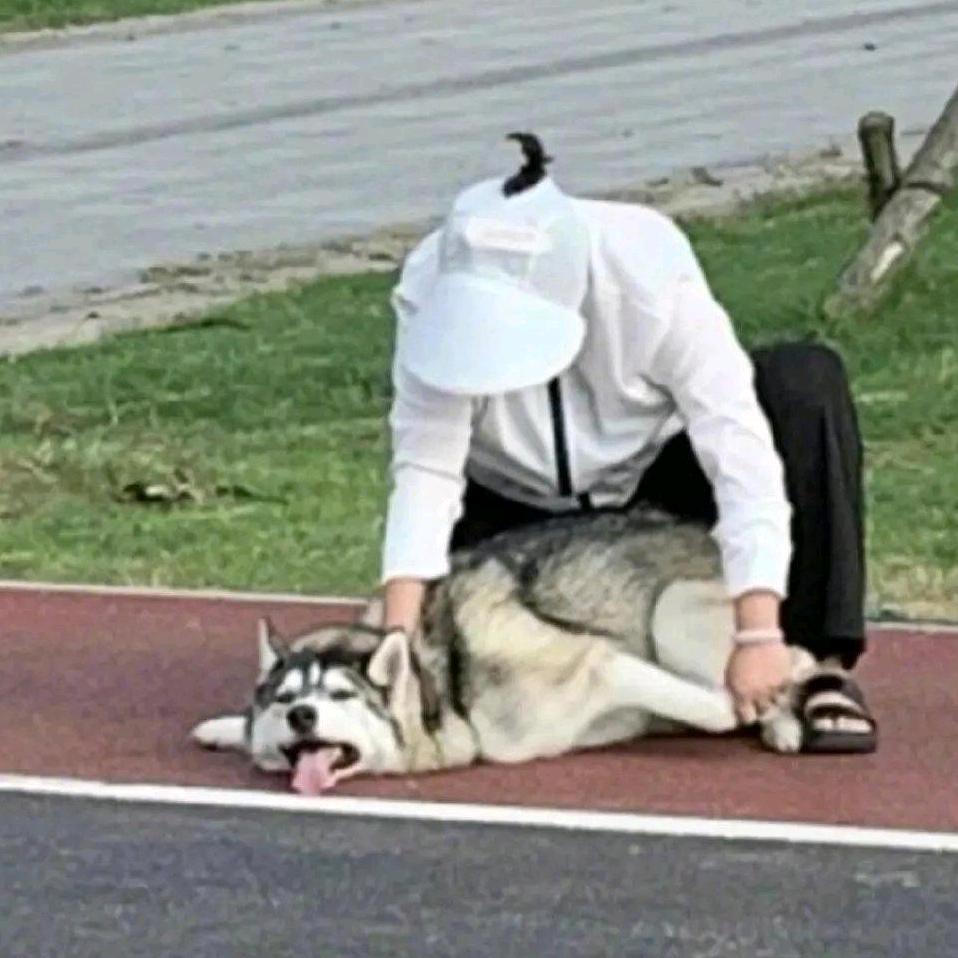 咖啡因来自咖啡果