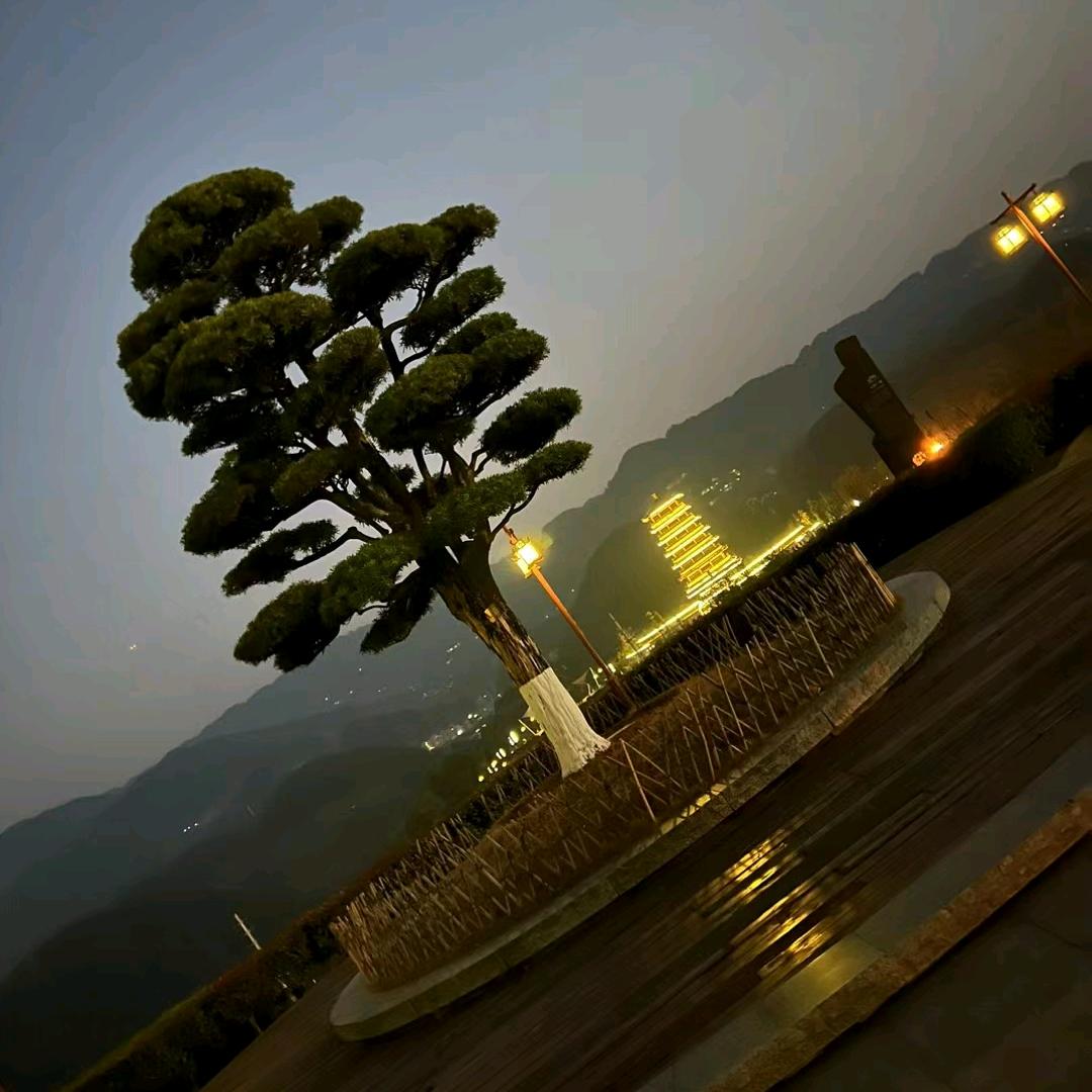 没票哥