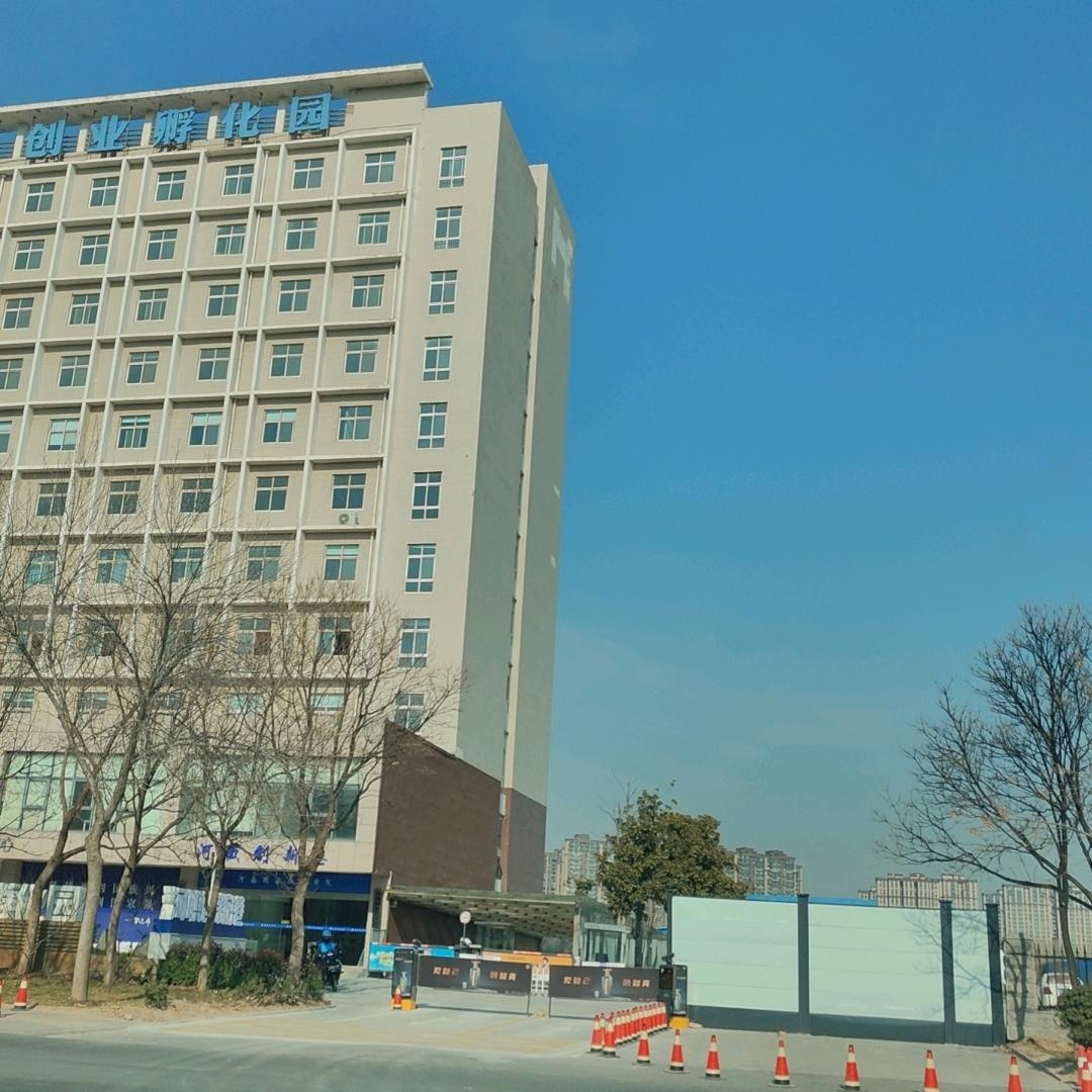 黑马。