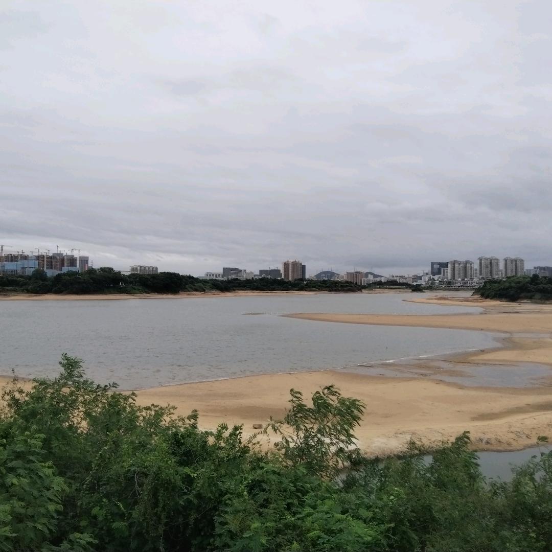 小陆不乱撞