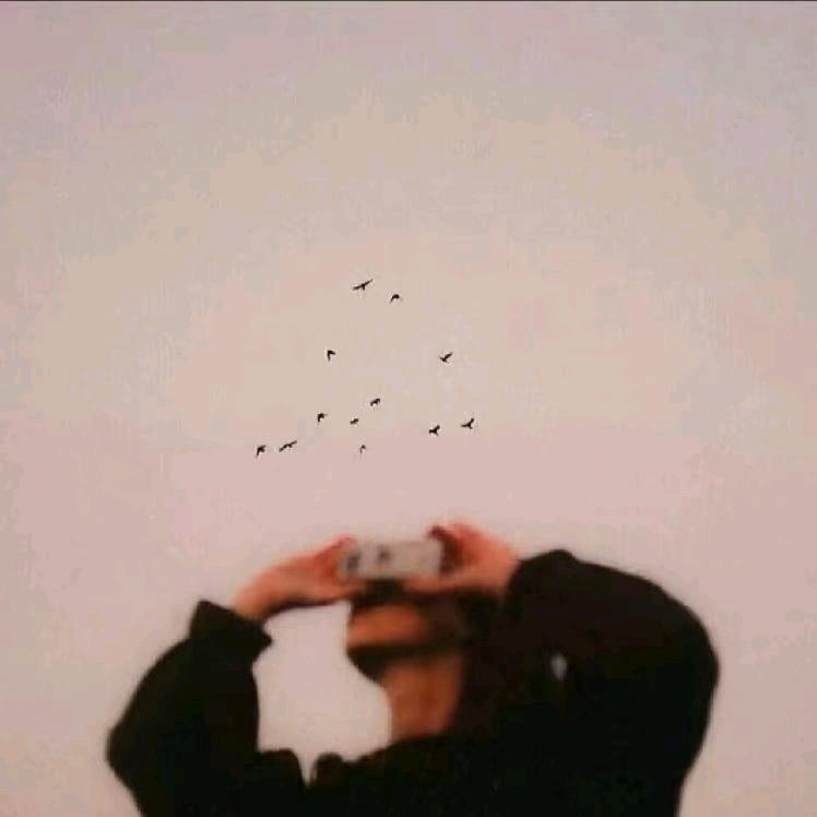 富贵险中求