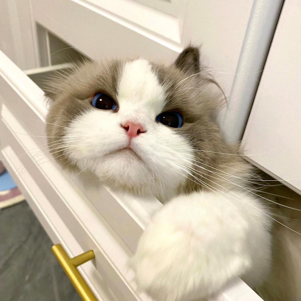 小小只