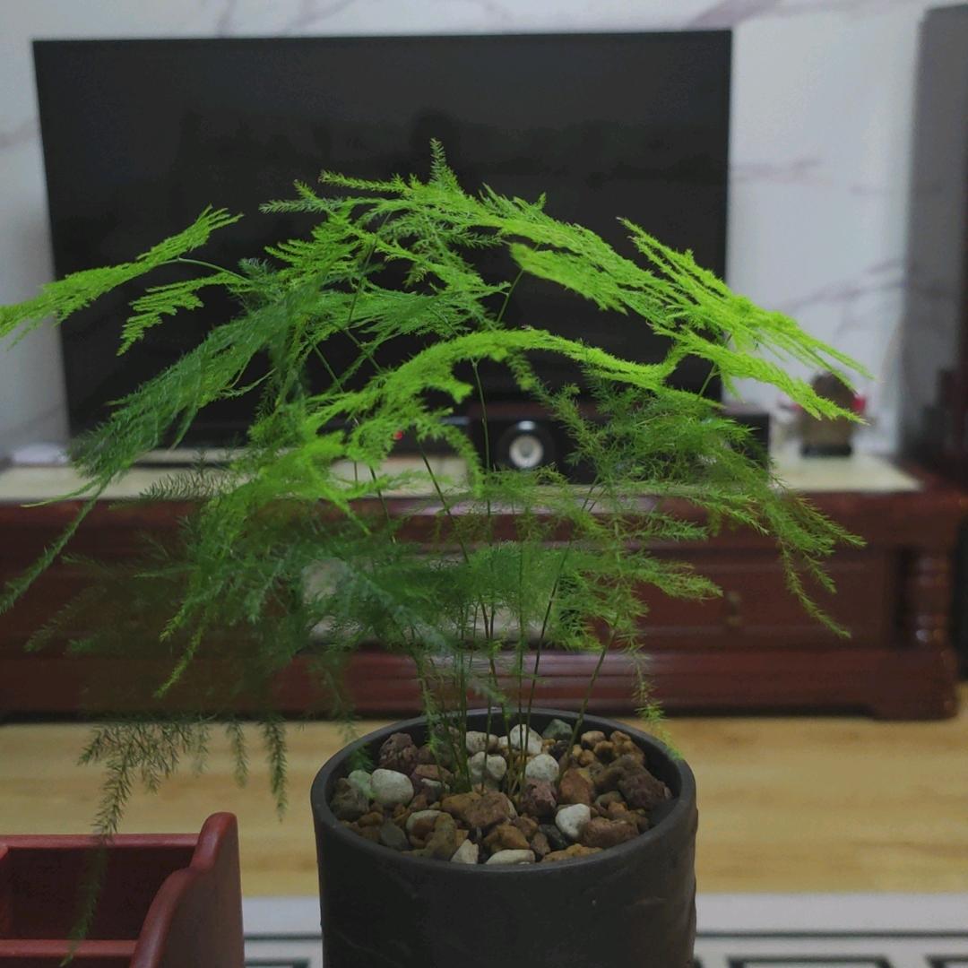 黄文一