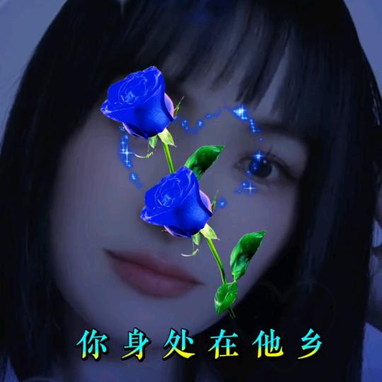 ？花开半夏