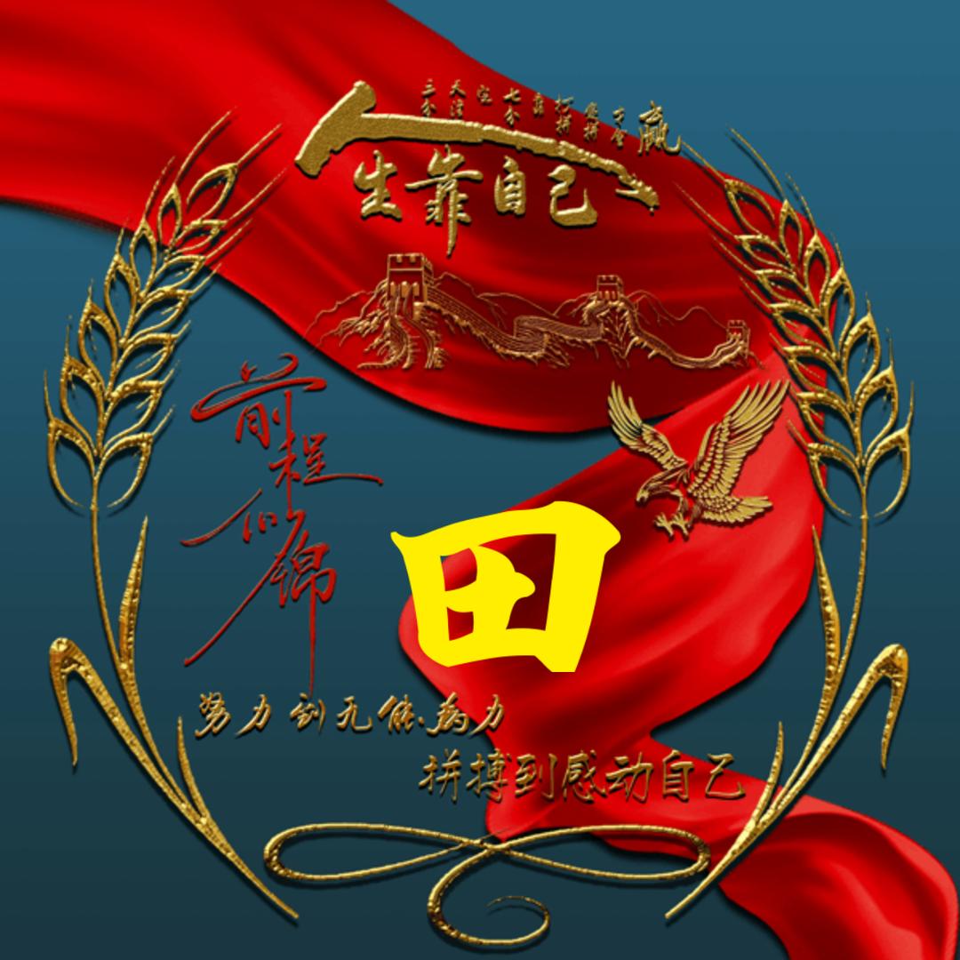 阳光下的灿烂