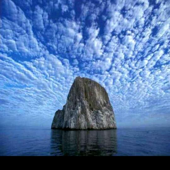 👑 随心✨✨✨