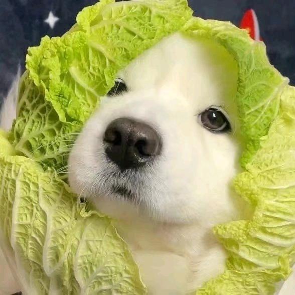 财源滚滚
