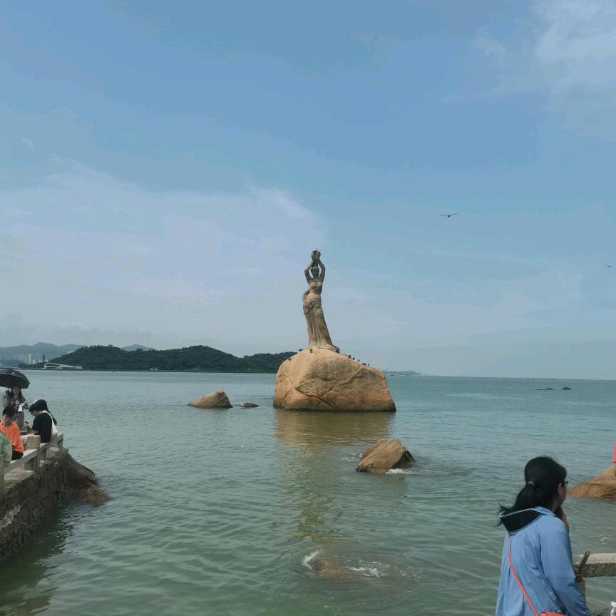 知情人小君同学