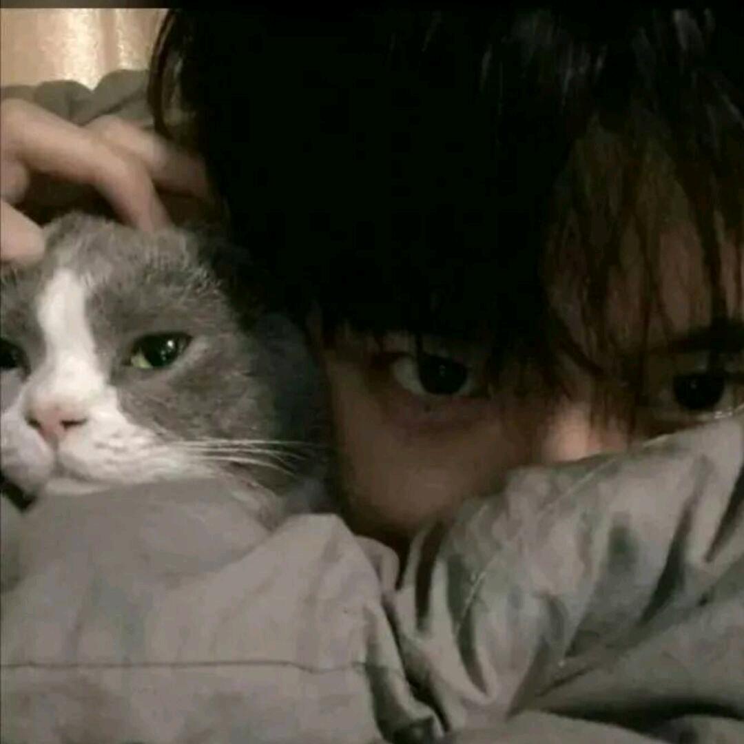 松岛绘.