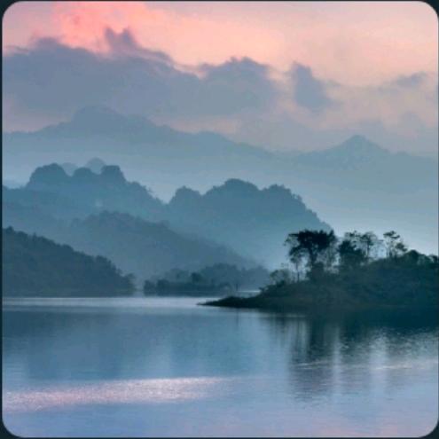 宝坤李哥