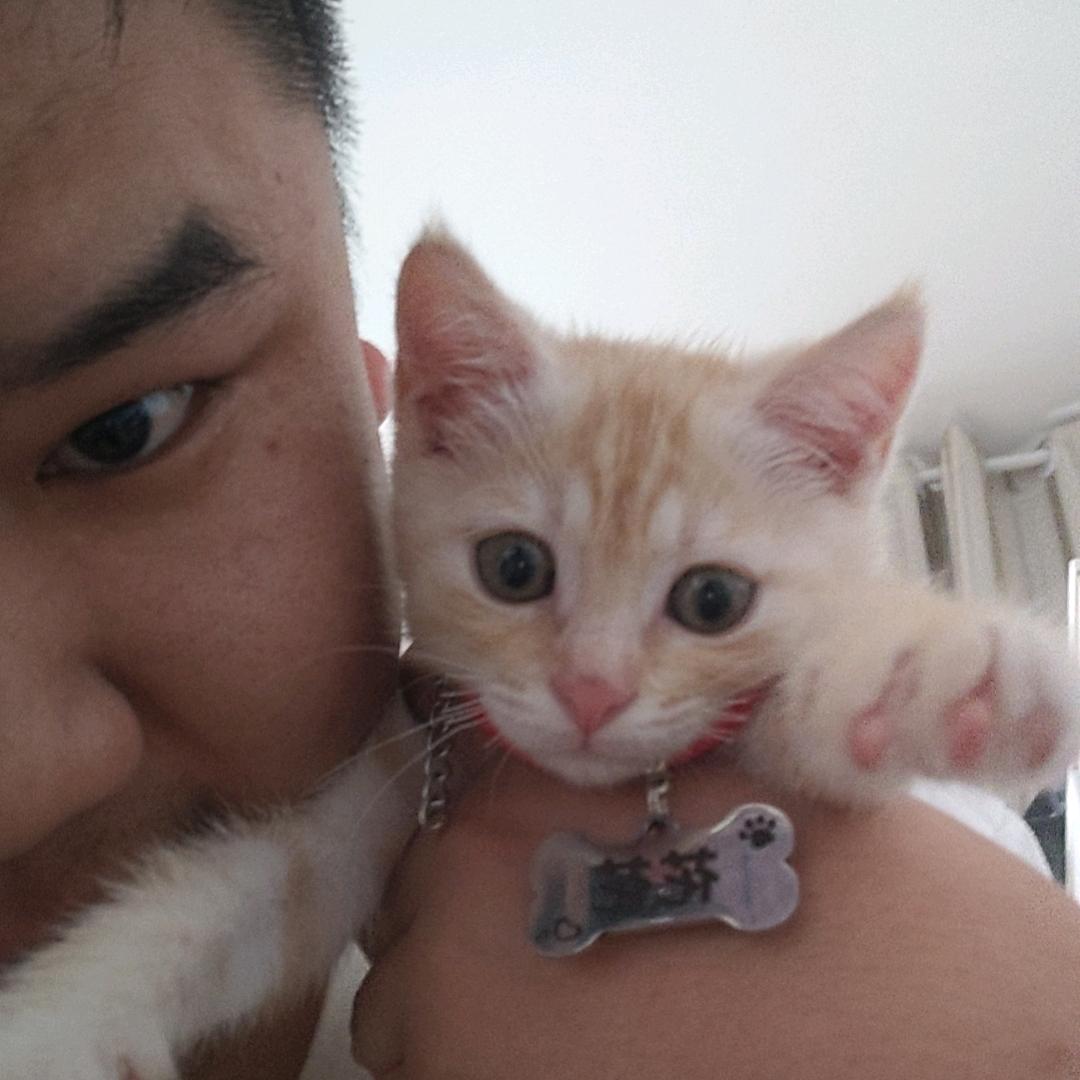 你信不信我的名字很长很长很长长的你记不住