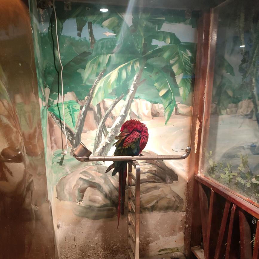 为爱锁芯❤️❤️❤️
