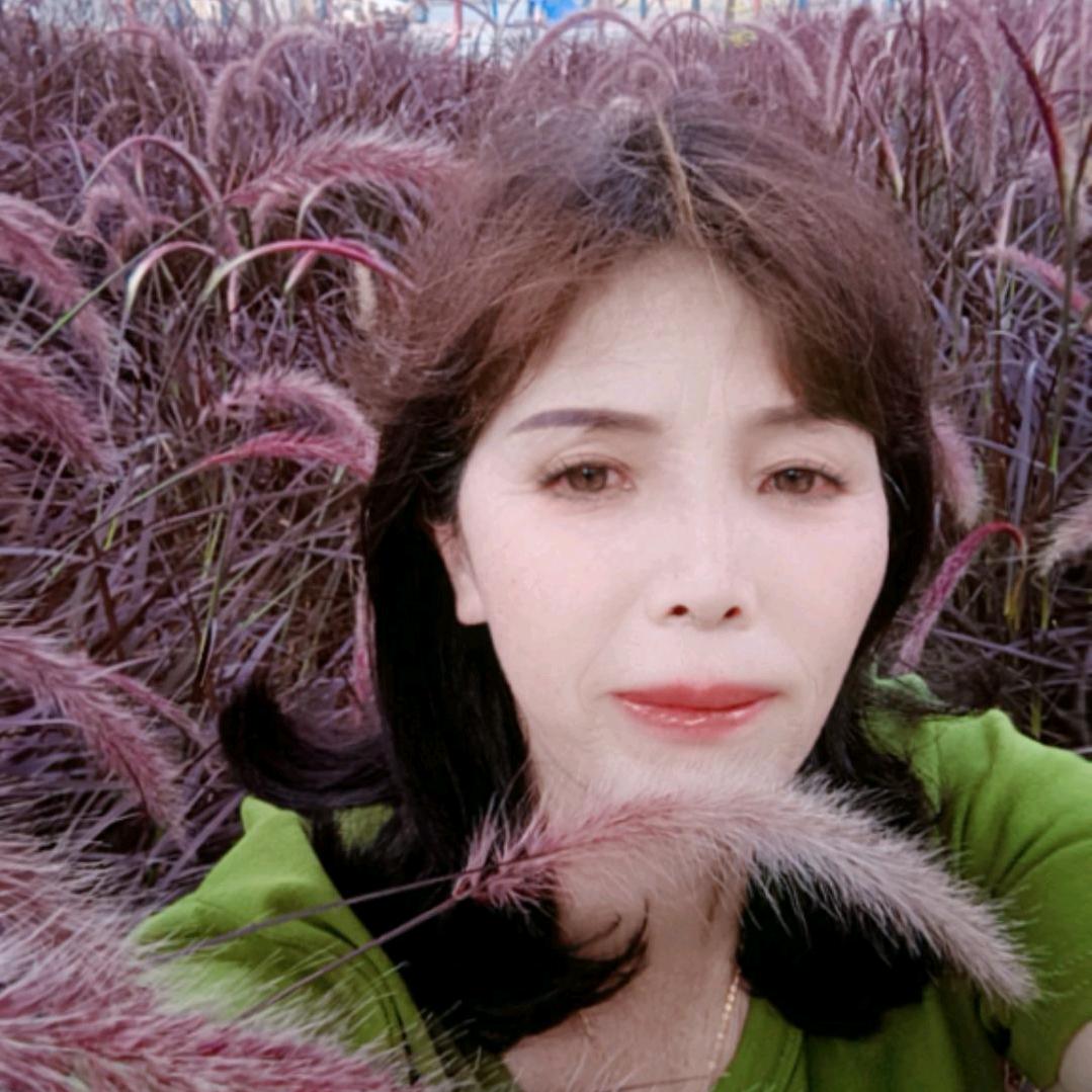 用户9146751658408
