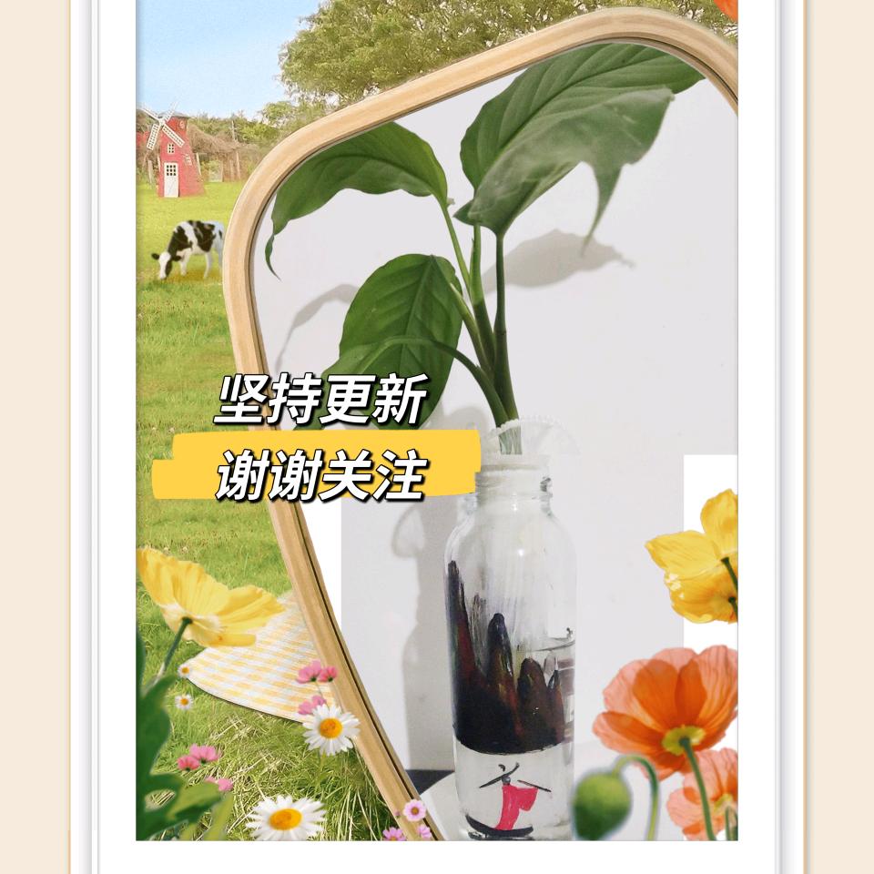 香茗分享