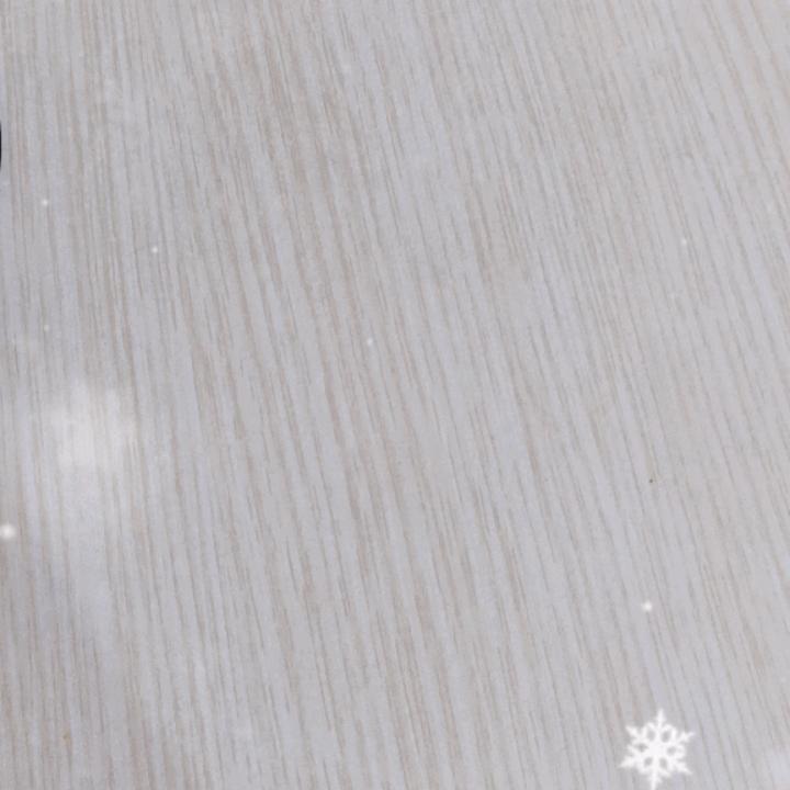 李老师师