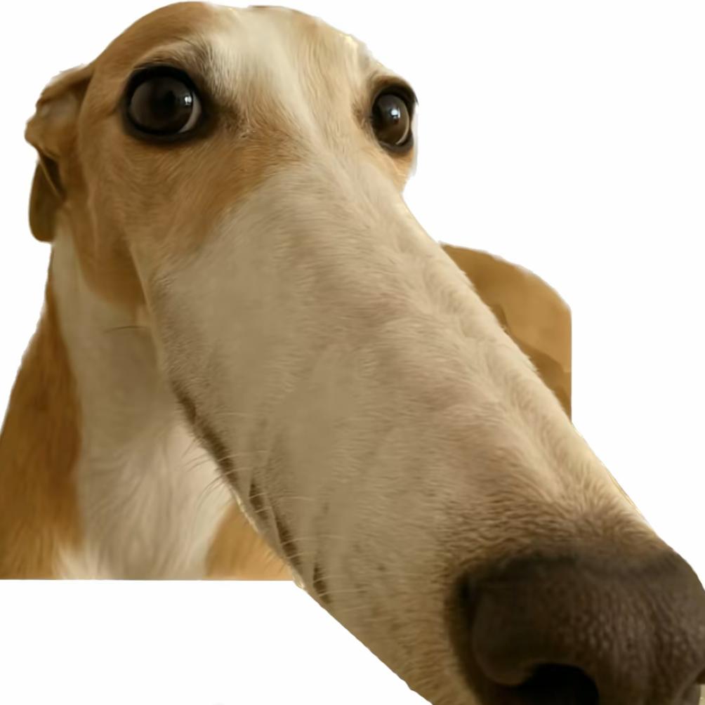小鑫儿