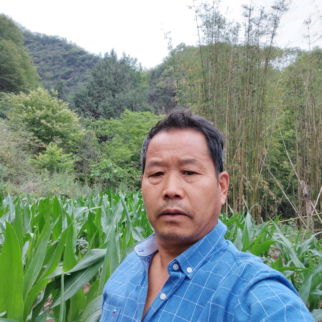 彭义权《红薯粉条加工》