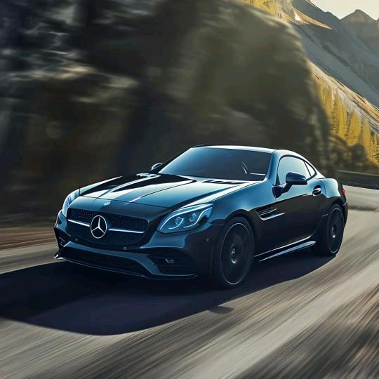 花谢花开会有时